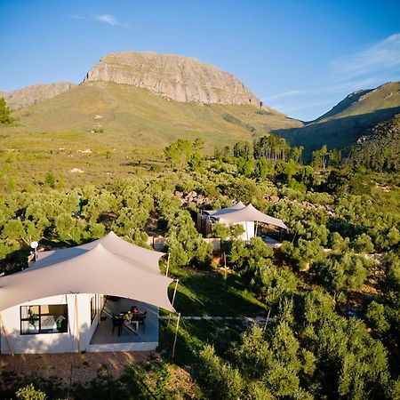 Wagyu Mountain Lodge Paarl Eksteriør billede