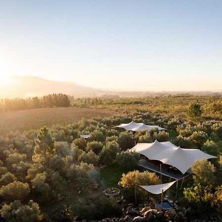 Wagyu Mountain Lodge Paarl Eksteriør billede