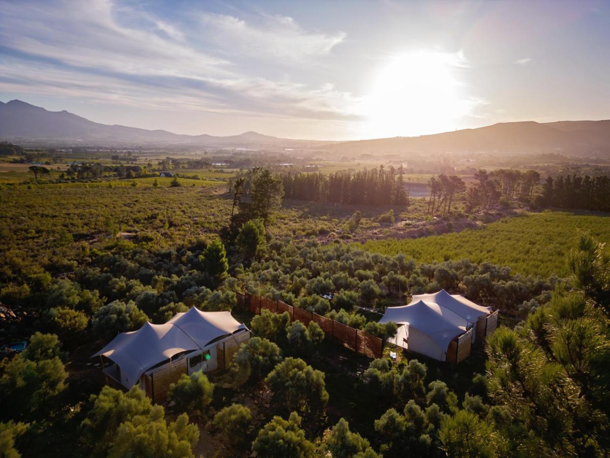 Wagyu Mountain Lodge Paarl Eksteriør billede