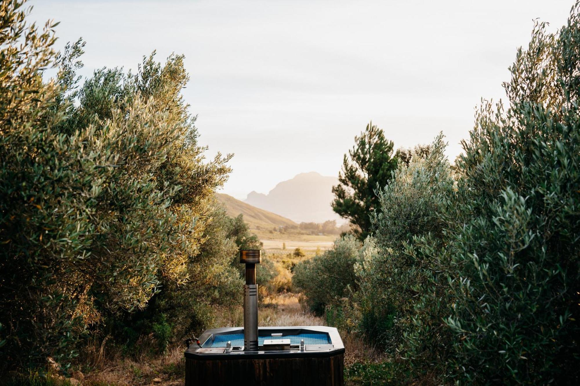 Wagyu Mountain Lodge Paarl Eksteriør billede