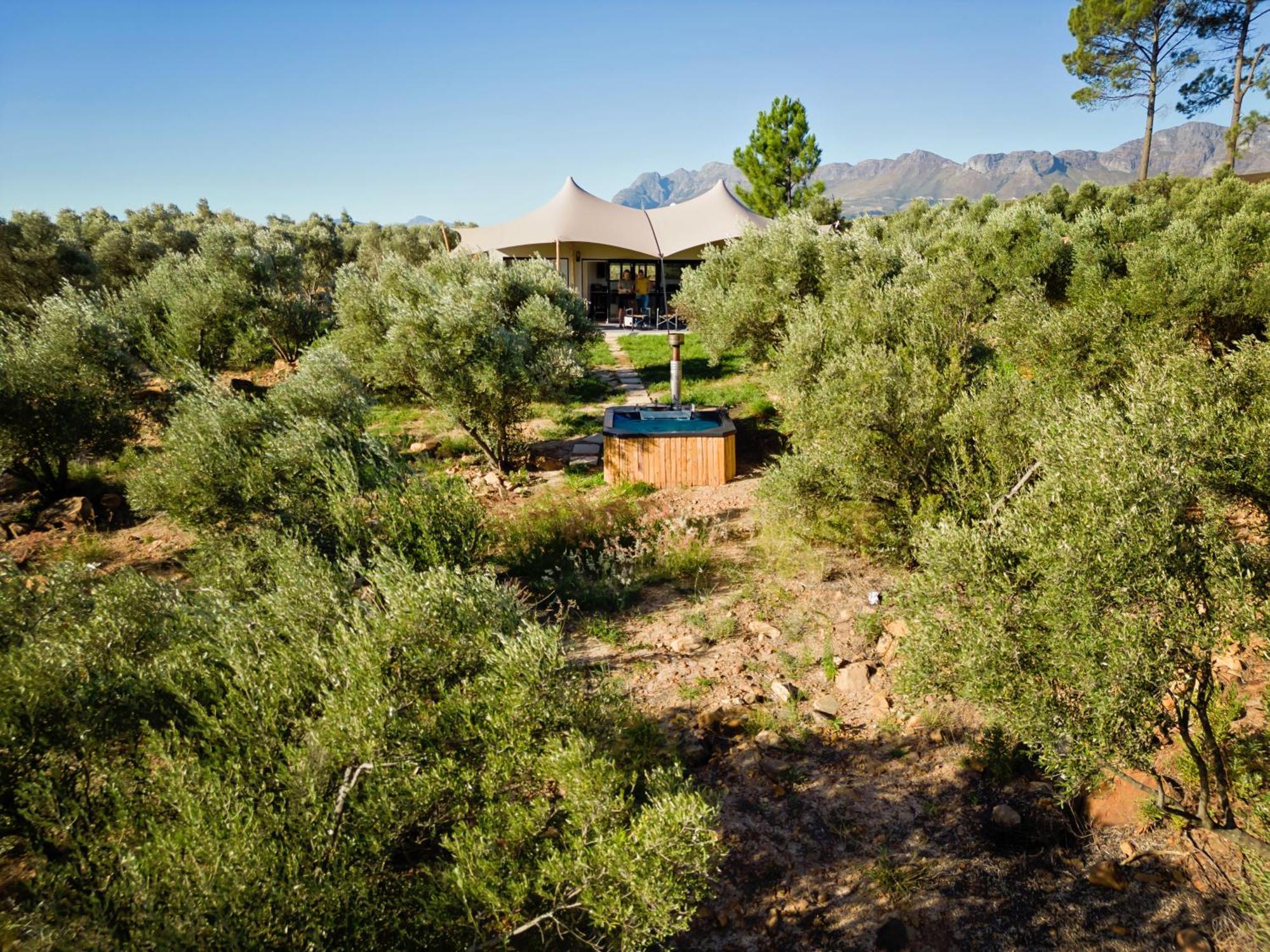 Wagyu Mountain Lodge Paarl Eksteriør billede