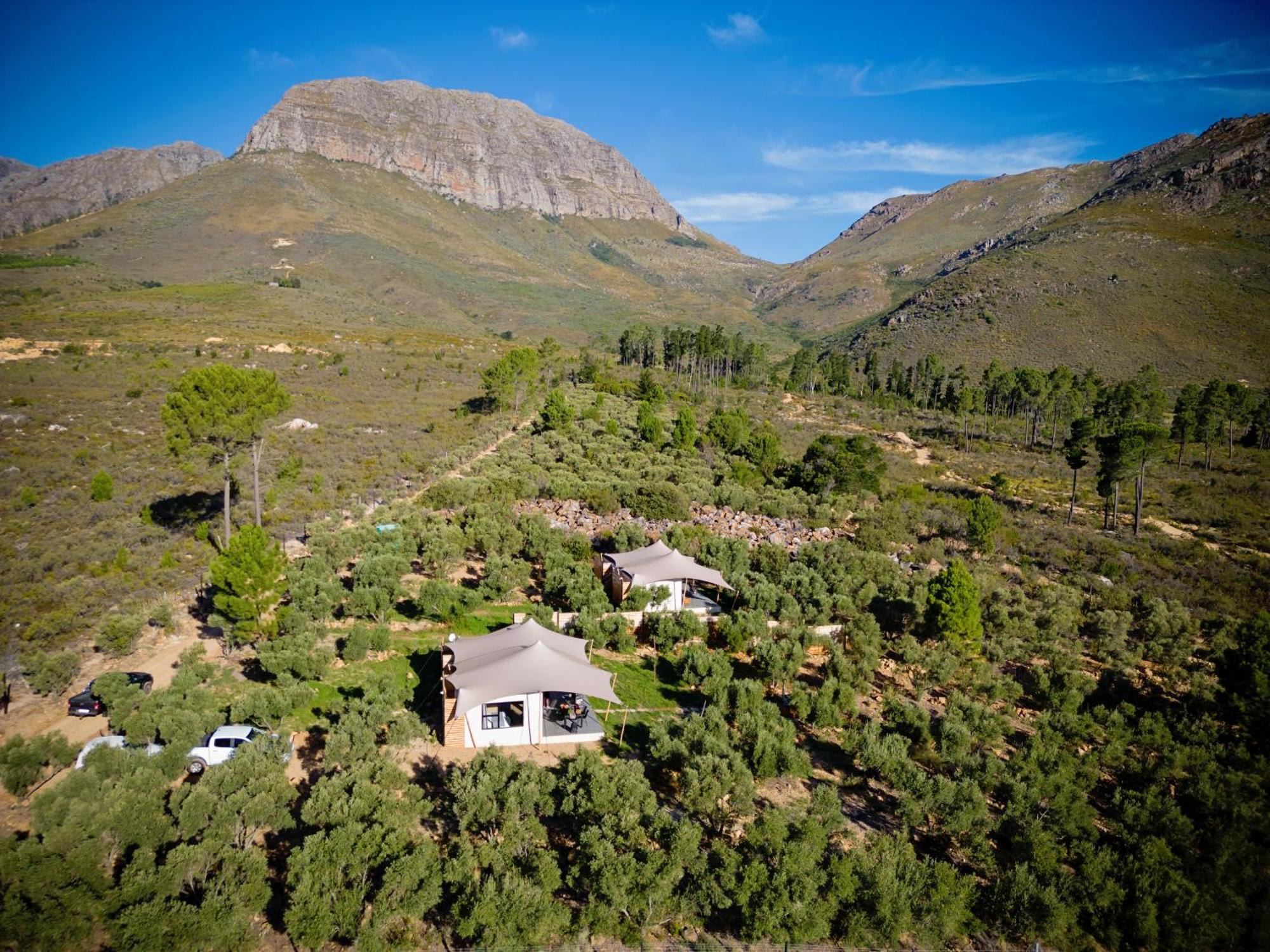 Wagyu Mountain Lodge Paarl Eksteriør billede