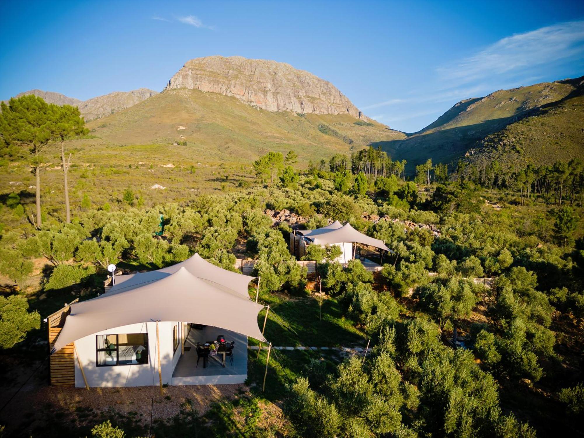 Wagyu Mountain Lodge Paarl Eksteriør billede