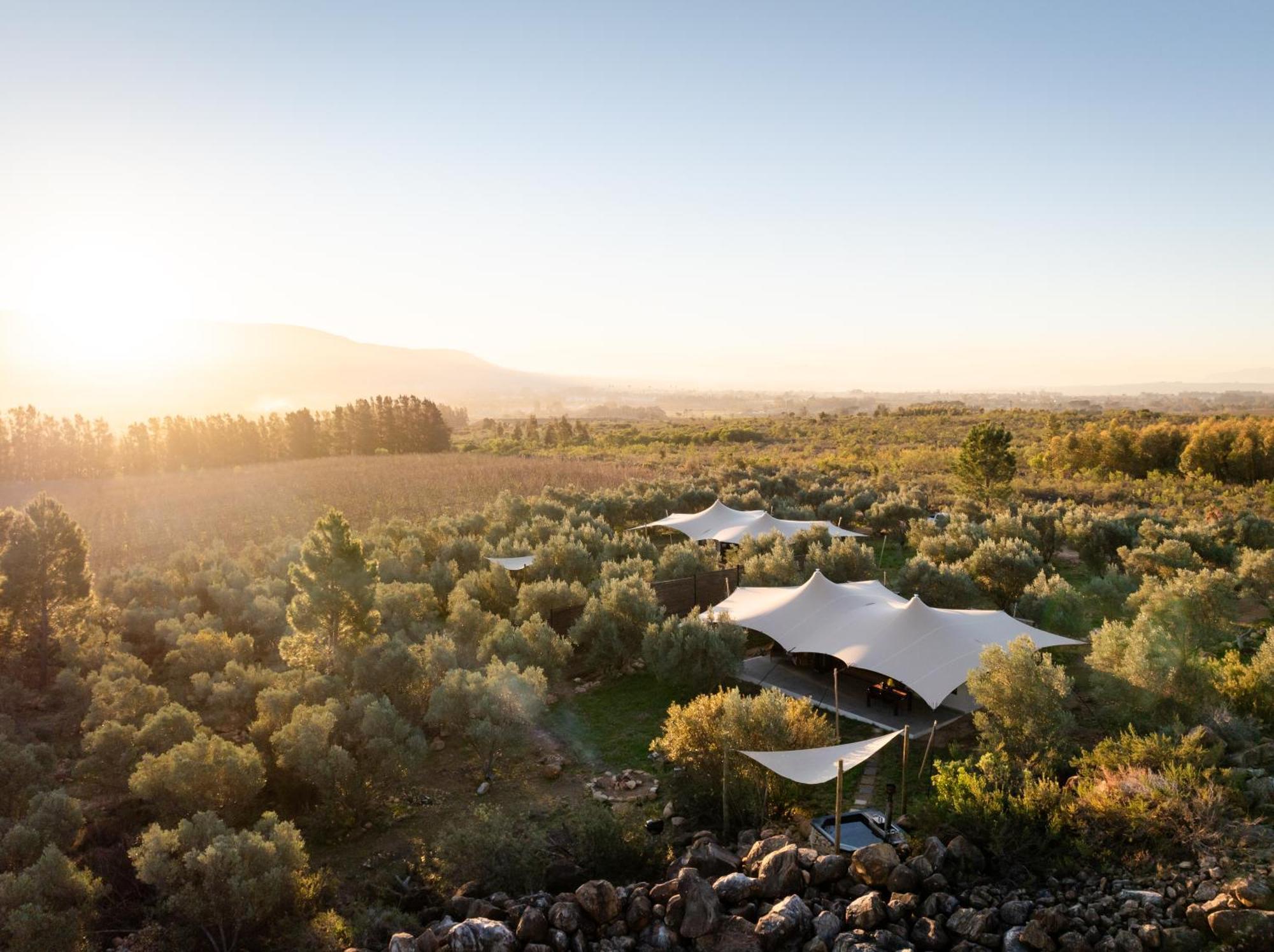 Wagyu Mountain Lodge Paarl Eksteriør billede