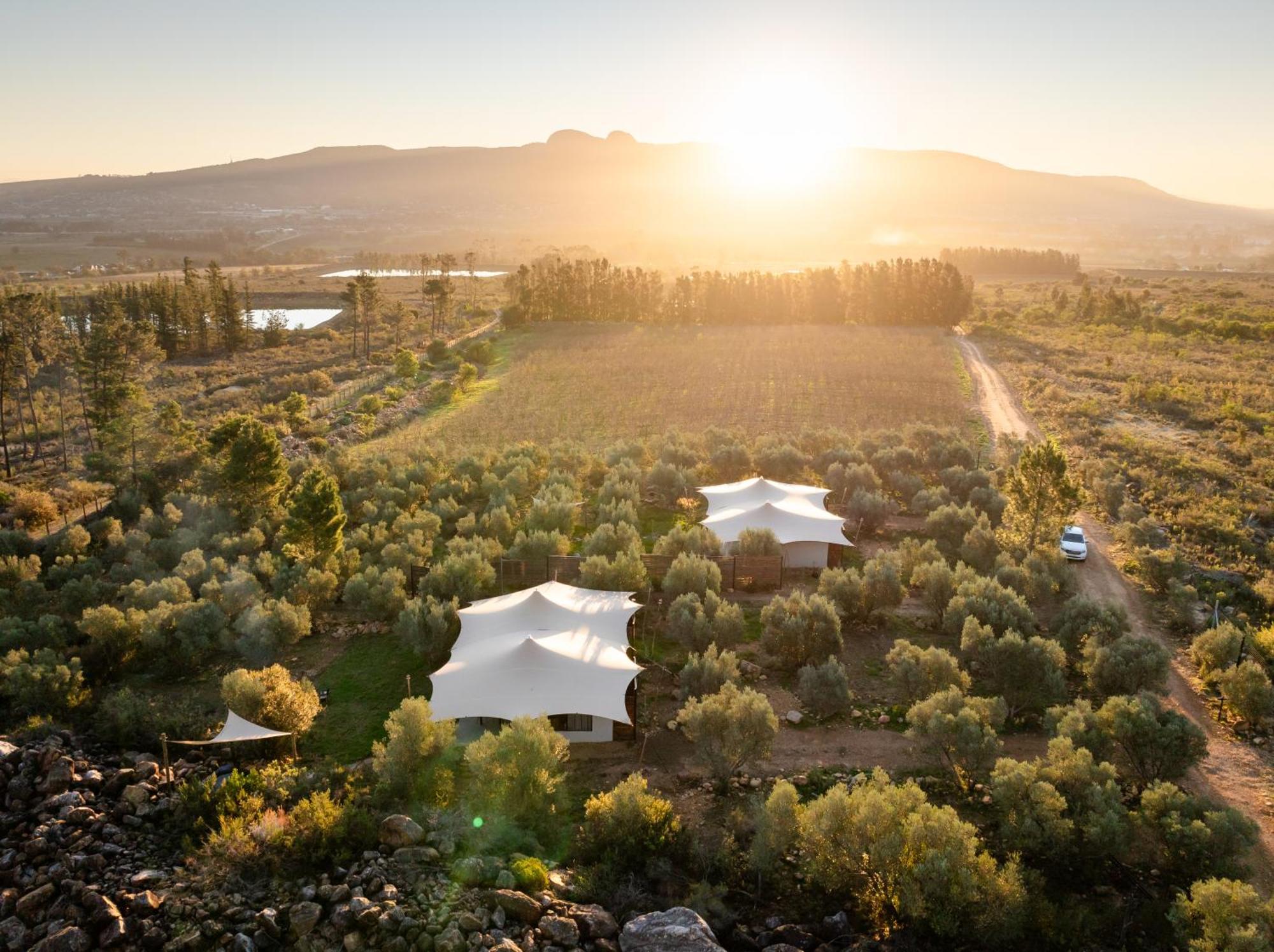 Wagyu Mountain Lodge Paarl Eksteriør billede