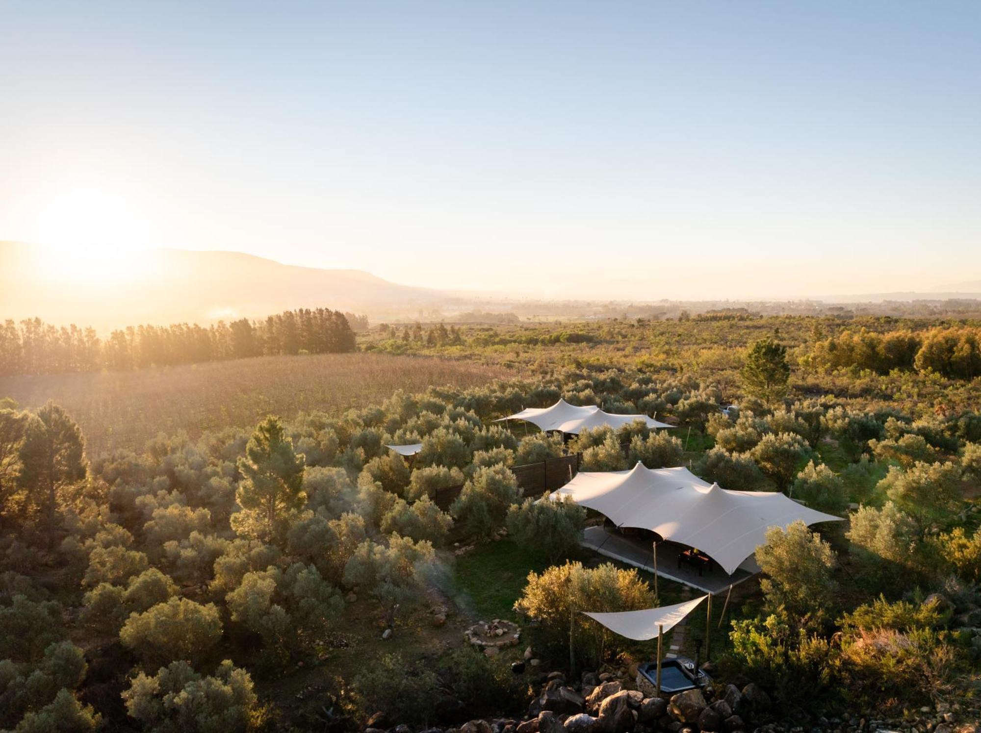 Wagyu Mountain Lodge Paarl Eksteriør billede